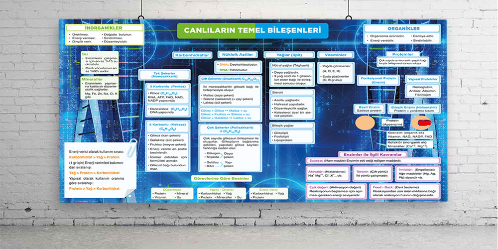 Canlıların temel bileşenleri