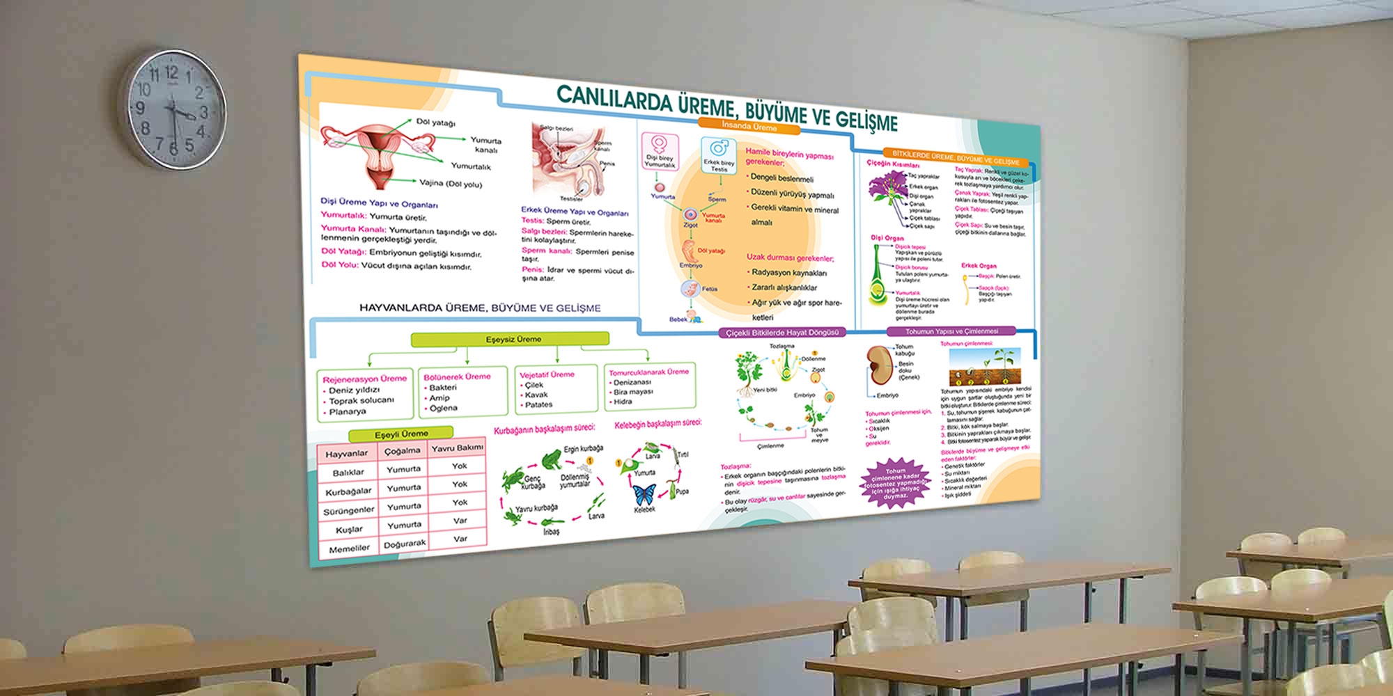 Canlılarda üreme