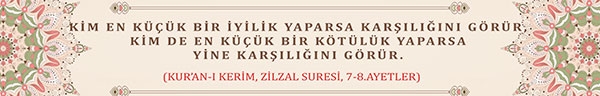 Zilzal Suresi 7-8 