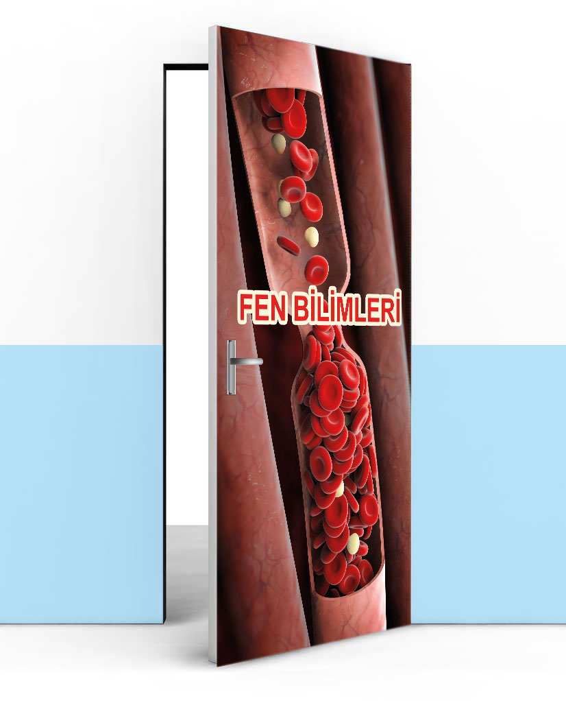 Kan dolaşımı kapı giydirme