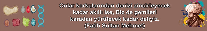 Fatih Sultan Mehmet