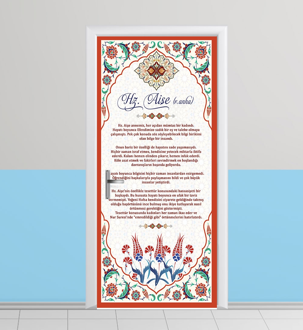 Hz Aise kapı giydirme