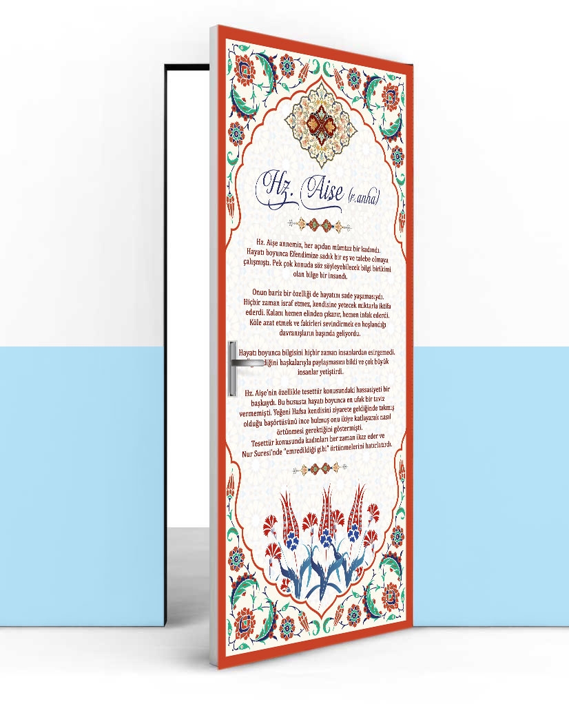 Hz Aise kapı giydirme