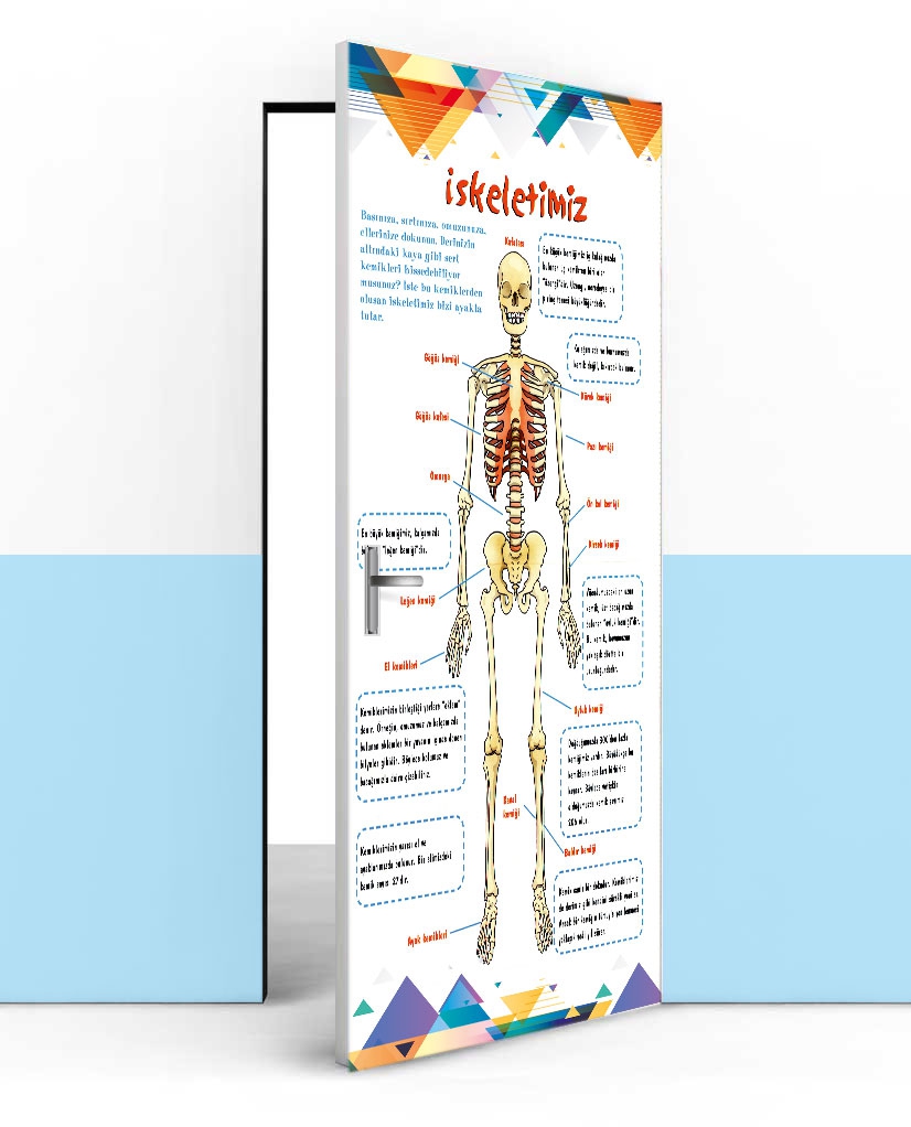 İskelet Kapı giydirme