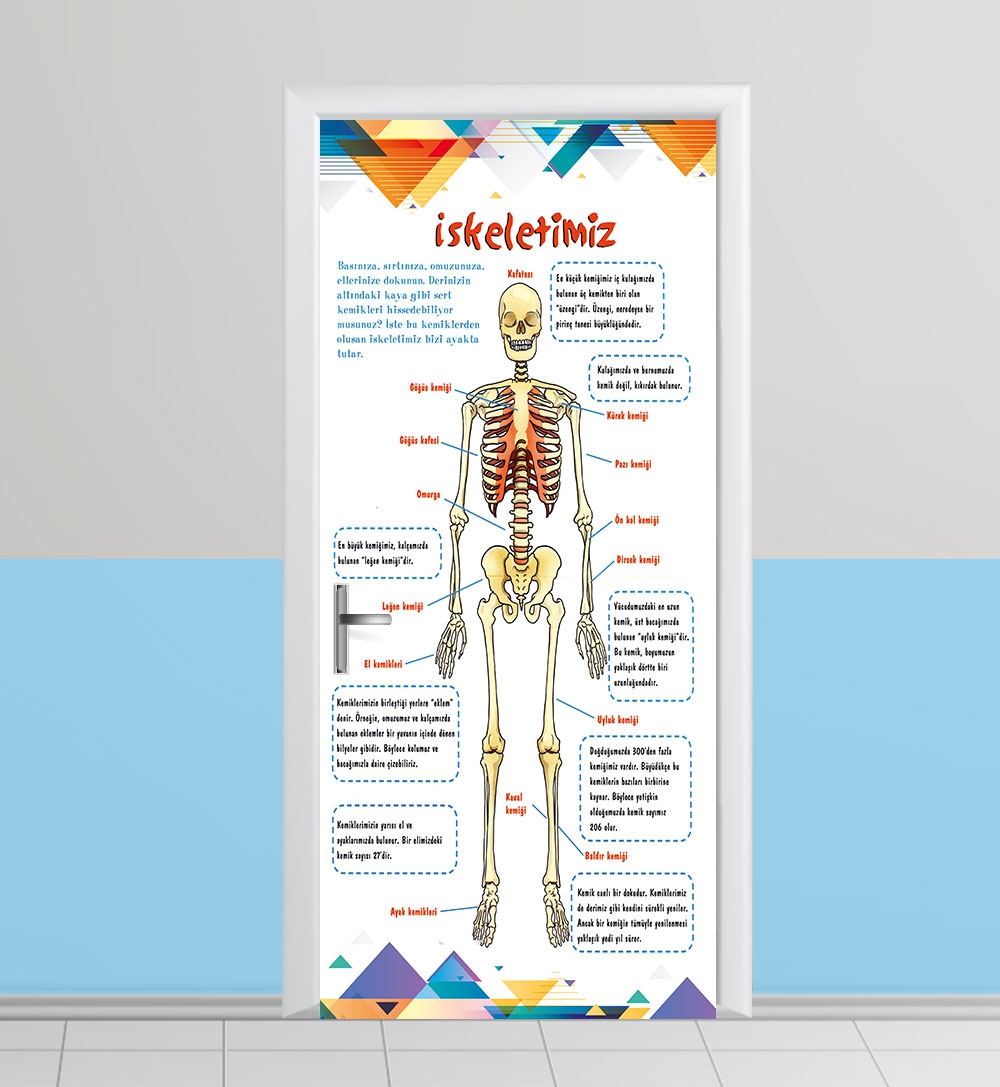 İskelet Kapı giydirme