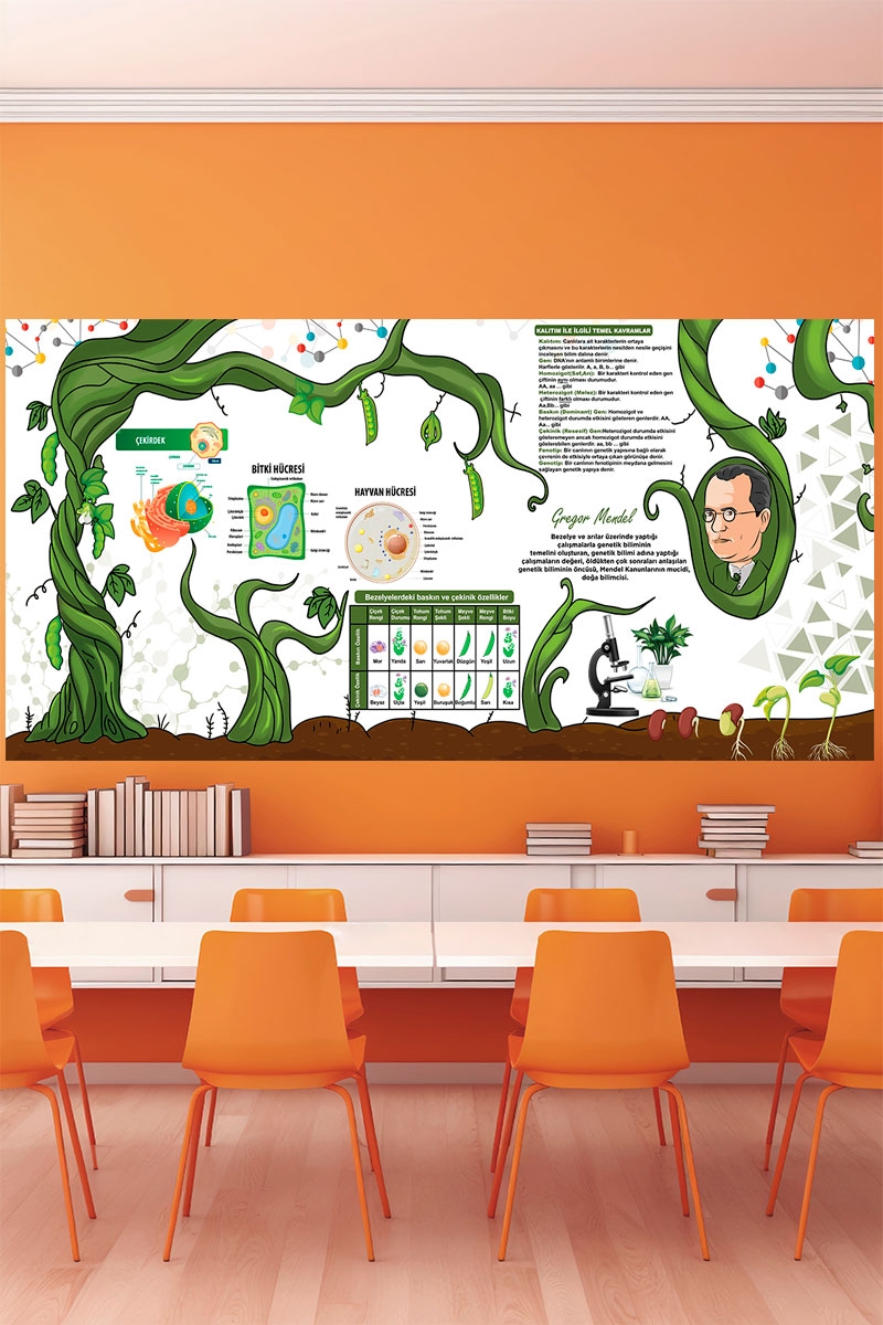 Gregor Mendel Posteri