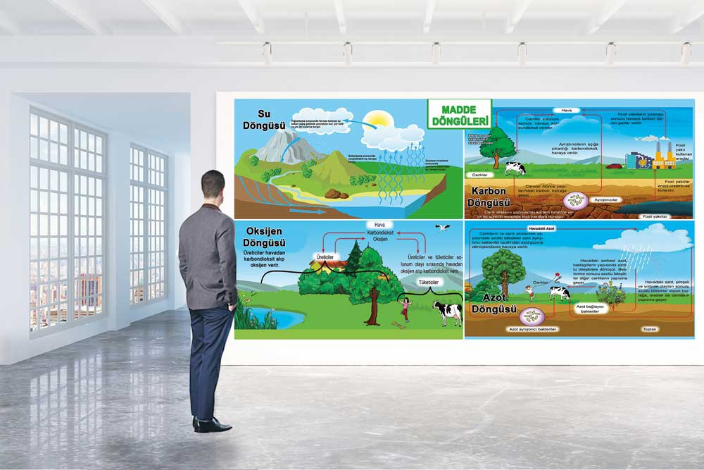 Madde Döngüleri posteri