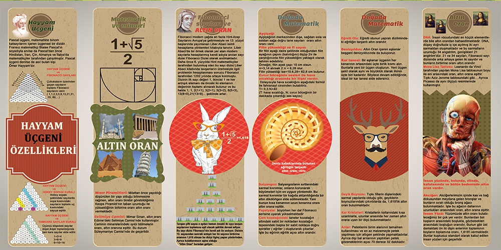 Doğada matematik