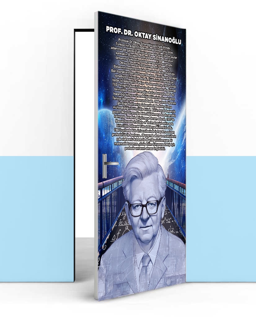 Oktay Sinanoğlu kapı posteri