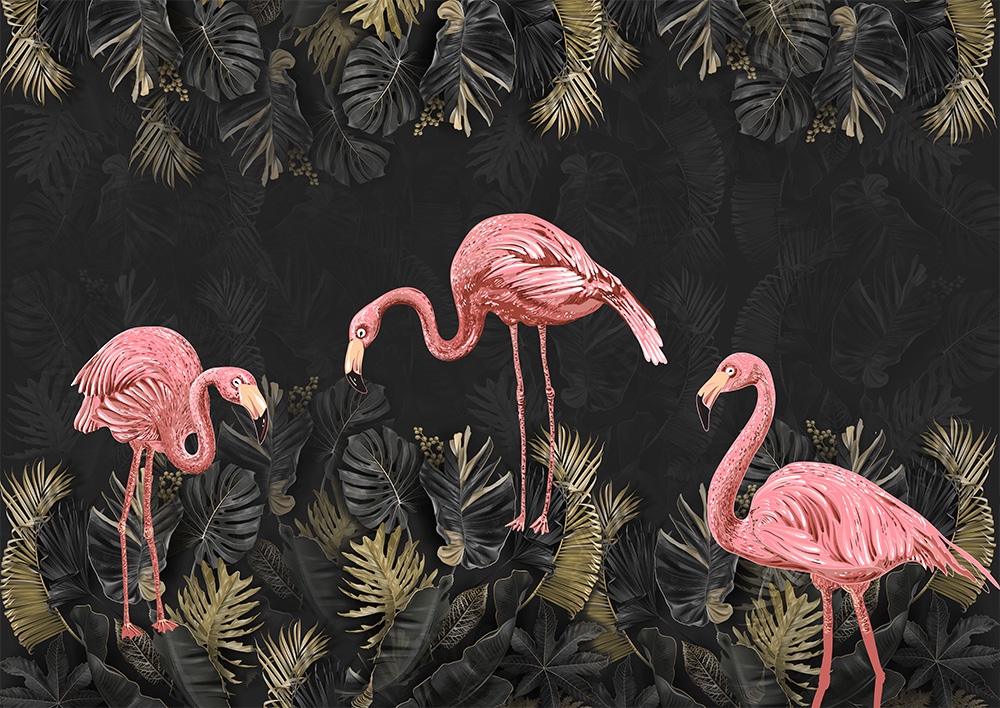Flamingo duvar kağıdı