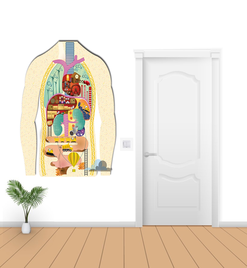 Karikatür anatomi özel kesimli sticker