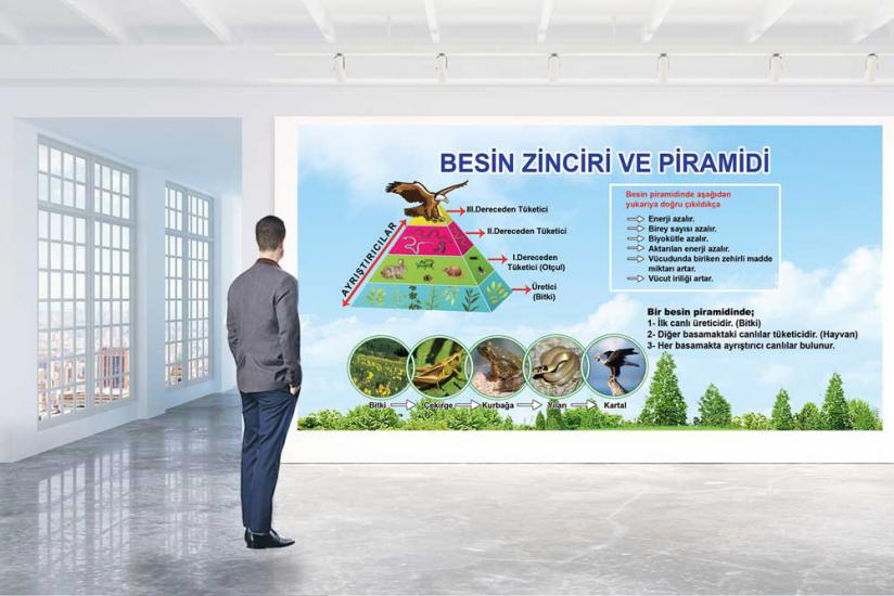 Besin zinciri posteri posterini en uygun fiyat ve hızlı kargo avantajıyla sahip olabilirsiniz. Fen sokağı posterlerini fiyat ve yorumları inceleyin