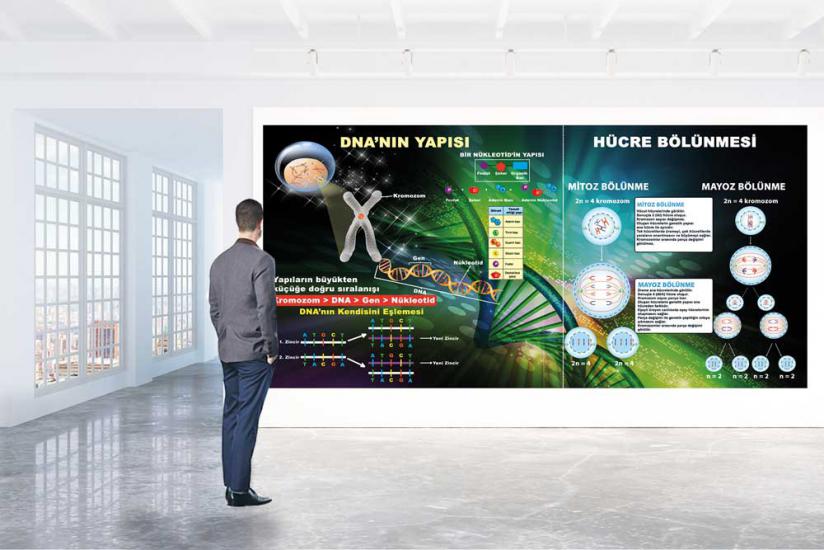 Dna posterini en uygun fiyat ve hızlı kargo avantajıyla sahip olabilirsiniz. Fen sokağı posterlerini fiyat ve yorumları inceleyin