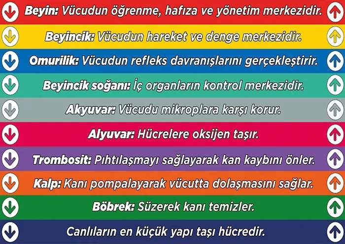 Okul merdiven yazısı