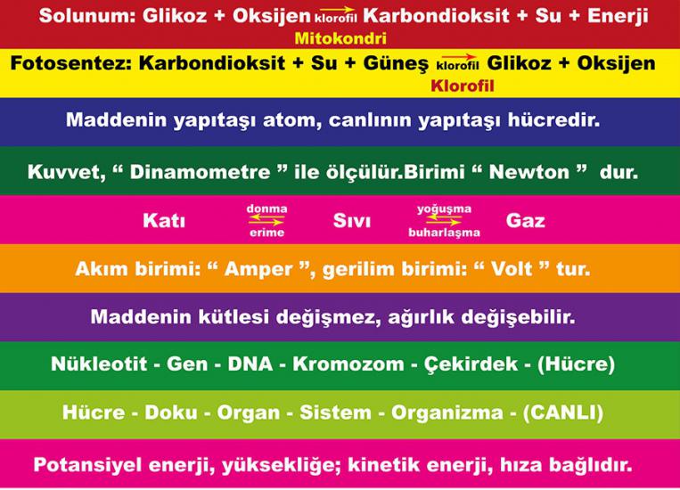 Fen bilgisi merdiven yazilari uygun fiyat hizli kargo secenegi ile sahip olabilirsiniz