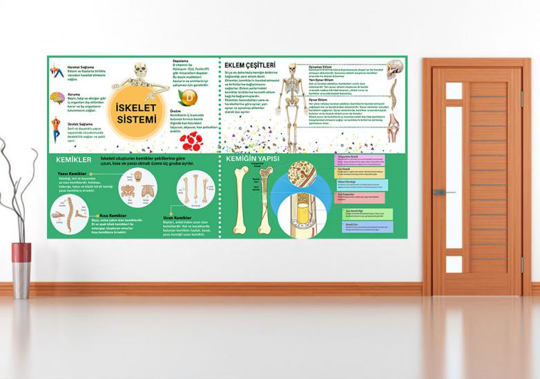 iskelet sistemi posterini en uygun fiyat ve hızlı kargo avantajıyla sahip olabilirsiniz. Fen sokağı posterlerini fiyat ve yorumları inceleyin