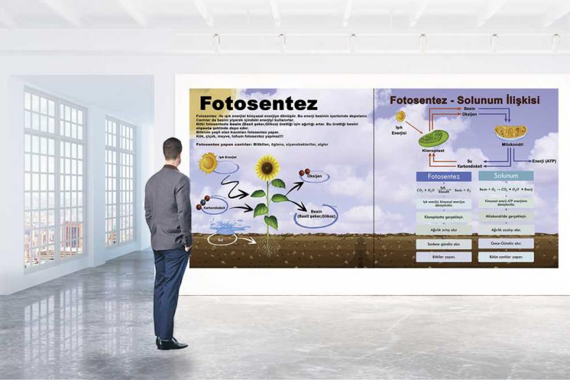 Fotosentez posterini en uygun fiyat ve hızlı kargo avantajıyla sahip olabilirsiniz. Fen sokağı posterlerini fiyat ve yorumları inceleyin