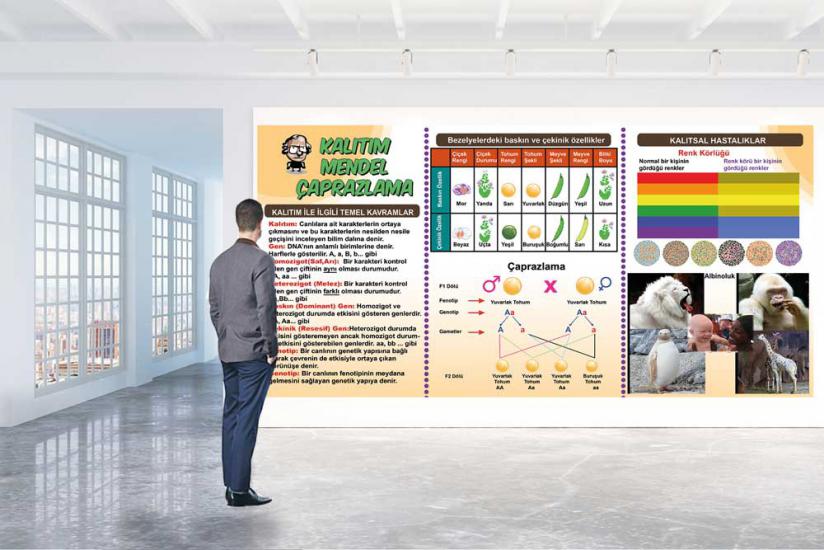 Kalıtım mendel çaprazlama posterini en uygun fiyat ve hızlı kargo avantajıyla sahip olabilirsiniz. Fen sokağı posterlerini fiyat ve yorumları inceleyin