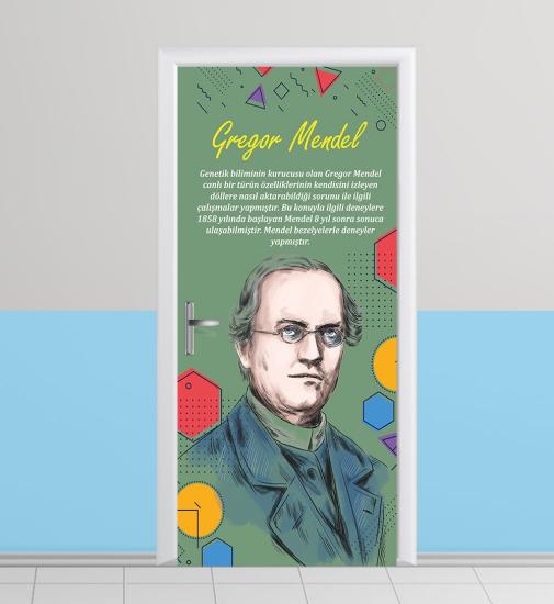 Mendel kapı giydirme kapı giydirme