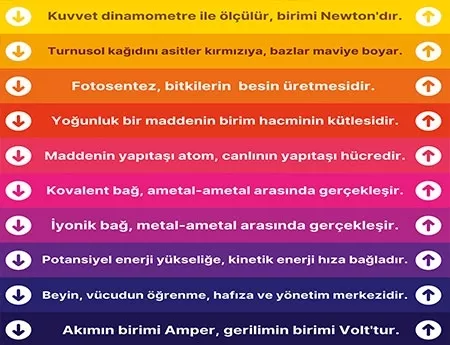Okul Merdiven Basamak Giydirme