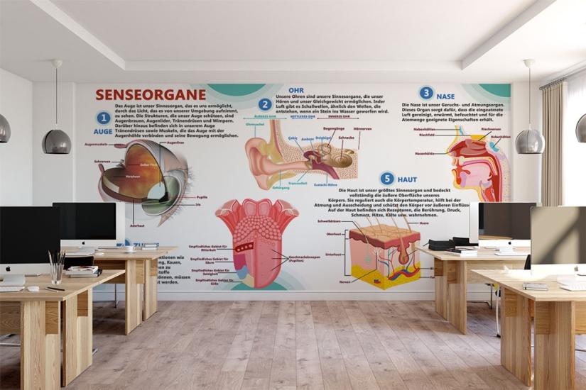 Senseorgane poster