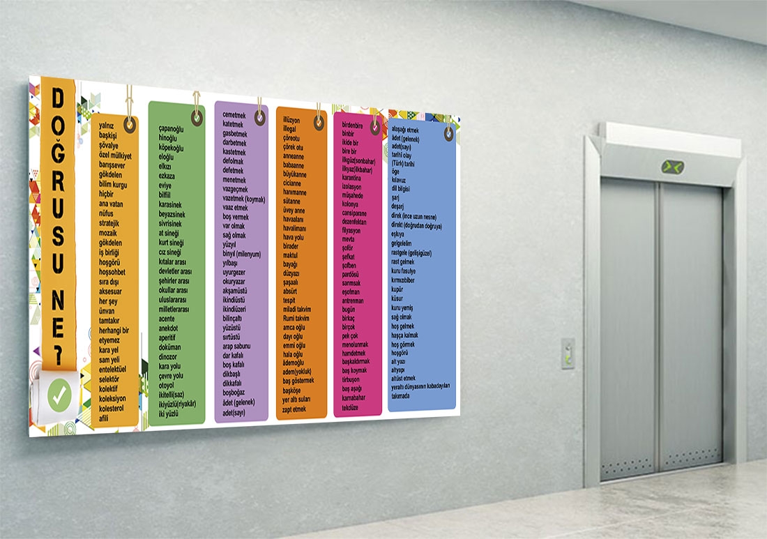 Doğrusu Ne? TYT Posteri